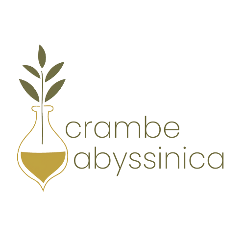 Crambeabyssinica